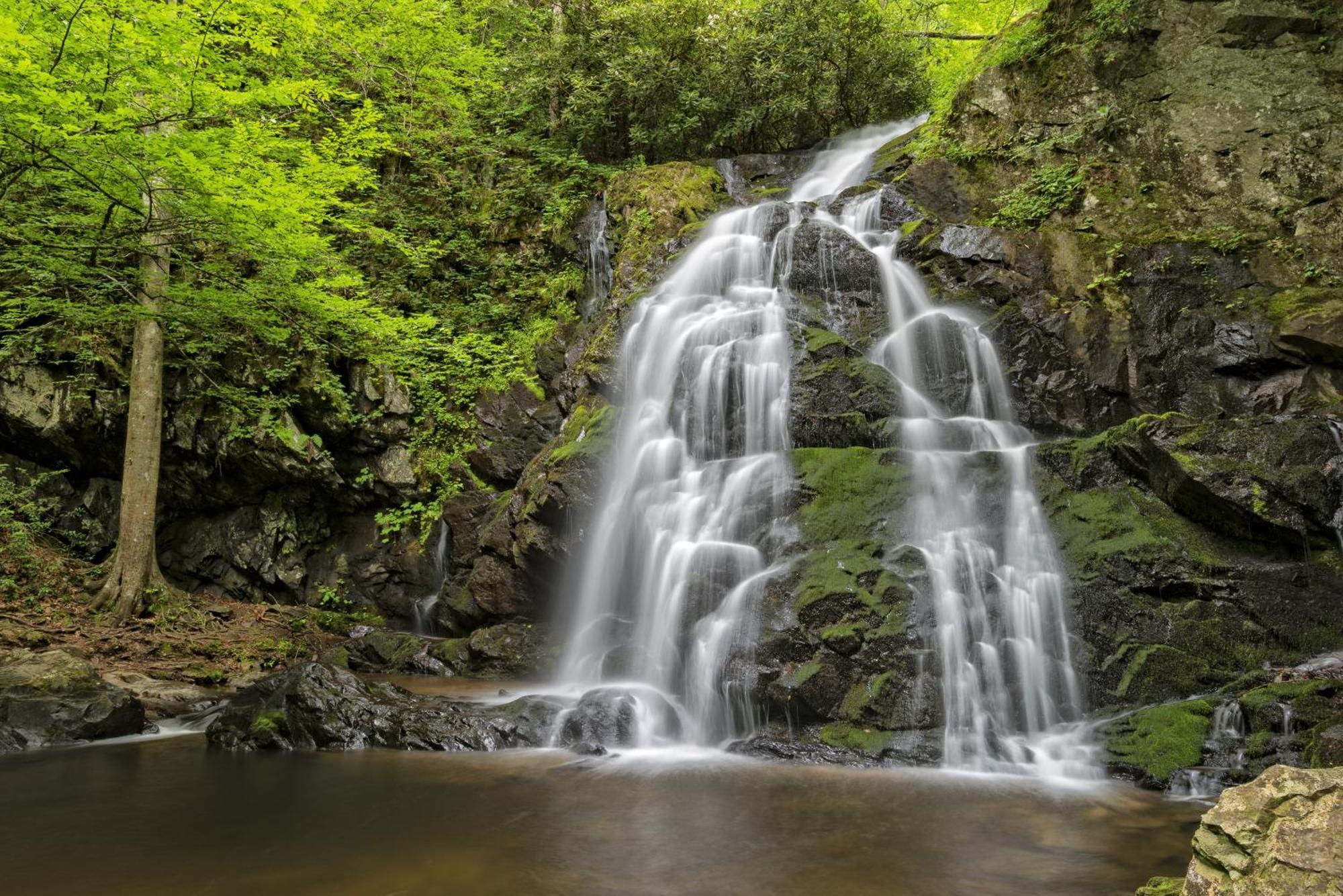 Вилла Three Bears Den, Hot Tub, Pool Table, Pool Access, 1089 Free Tickets Each Paid Day, Dollywood Inclu Гатлинбург Экстерьер фото