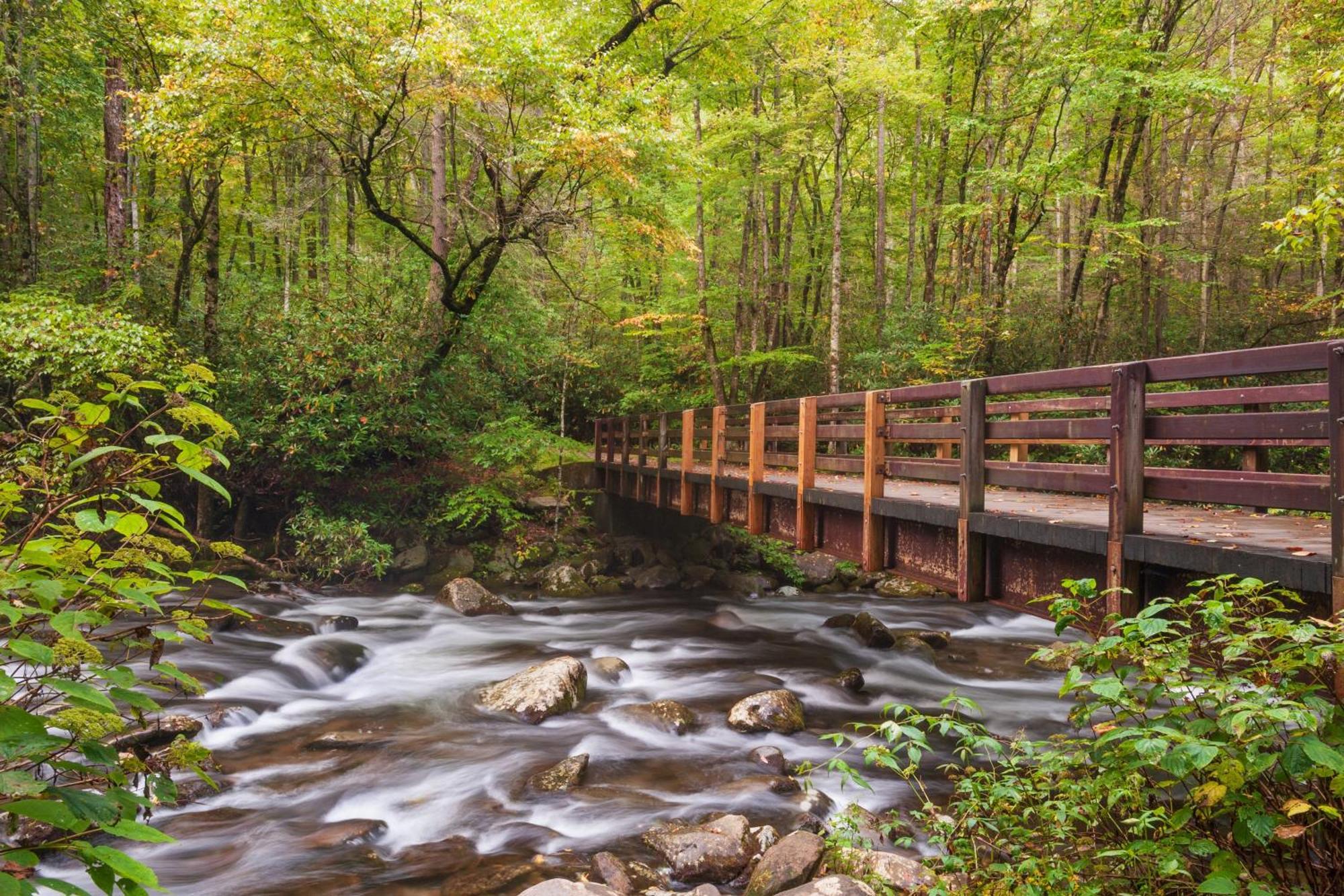 Вилла Three Bears Den, Hot Tub, Pool Table, Pool Access, 1089 Free Tickets Each Paid Day, Dollywood Inclu Гатлинбург Экстерьер фото